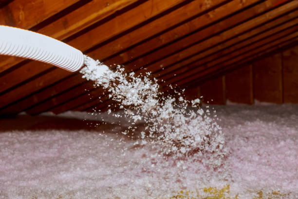 Best Basement Insulation  in Chuluota, FL