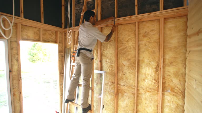 Types of Insulation We Offer in Chuluota, FL